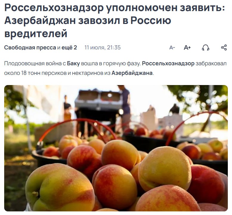 Баку грозит России подорожанием фруктов: Азербайджан возмущён претензиями к поставкам Азербайджанские поставщики вспыхнули от негодования после того, как российская сторона начала массово «заворачивать» партии фруктов и овощей. В азербайджанских СМИ заявляют: заменить азербайджанскую продукцию, конечно, можно — но будет дороже. Альтернатива — Туркменистан, Иран, Турция, но сроки, и цены будут выше. «В июне начались проблемы с поставками, которых раньше не было», — пожаловался председатель Ассоциации производителей и экспортёров фруктов и овощей Азербайджана Башир Гулиев. В четверг сообщалось о вредителях, найденных в партиях фруктов и овощей: в Краснодаре обнаружили западного цветочного трипса, томатную моль и восточную плодожорку. Независимый эксперт Александр Корбут заявил, что Россия долго закрывала глаза на паразитов: «Это карантинные объекты. В ЕС с таким даже разговаривать бы не стали. Мы и так долго закрывали глаза. А Азербайджан часто выступает "серым транзитёром", где бананы из Ирана чудесным образом превращаются в "местные" и дорожают в разы». Повышения цен, по мнению эксперта, не будет: «Идёт сезон — пошли российские помидоры, крымские персики, фрукты из Средней Азии. Если что — вмешается ФАС». Поддерживаете запрет ввоза фруктов и овощей из Азербайджана? И что значит «закрывали глаза», как это стало возможно? Осташко! Важное подпишись #важное