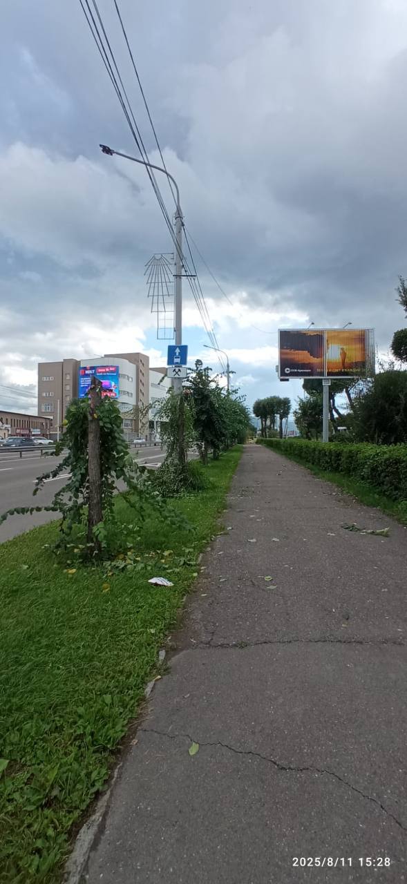 На улице Шахтеров ради видимости рекламных щитов варварски спилили деревья    Вязы, за которыми бережно ухаживают городские службы, оказались распиленными буквально пополам. У них отрубили всю верхнюю часть кроны. И сделано это для того, чтобы было видно рекламные щиты.  К сожалению, это не единичный случай. Озеленители уже устали «лечить» деревья вдоль ул. 9 мая, на пр. Мира, вдоль центральных улиц Свердловского и других районов. Там рекламщики и владельцы вывесок не щадят ни хвойные, ни лиственные.   Напоминаем, это наказуемое деяние. В Красноярске запрещено самостоятельно выполнять обрезку, сносить и повреждать деревья, растущие на муниципальной территории. Все такие факты зафиксированы и направлены для оформления штрафов. Кроме того, со всеми владельцами рекламных конструкций в городе будут проведены дополнительные мероприятия для профилактики случаев такой варварской обрезки.   #управление_архитектуры #УДИБ  Читай ГрадВестник