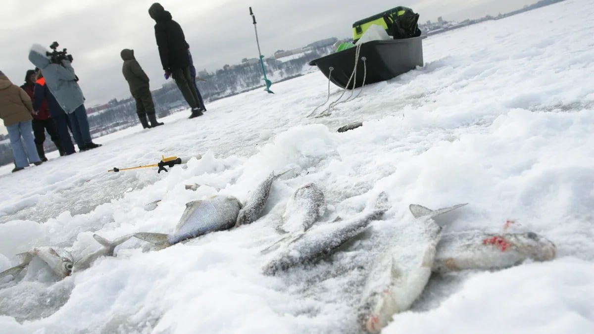 Нижегородские спасатели напомнили рыбакам о хрупкости льда и жизни  Сегодня сотрудники МЧС провели рейд по местам подледного лова на Волге. Цель мероприятия — не допустить провала рыбаков под лед. Памятки с правилами поведения на воде получили более 20 добытчиков.  Спасатели обратили внимание, что жители рыбачат около зимовальной ямы. С 1 октября по 30 апреля вылов на них запрещен и считается браконьерством.  Фото: Роман Яровицын, Коммерсантъ    Подписывайтесь на «Ъ-Приволжье» Оставляйте «бусты»