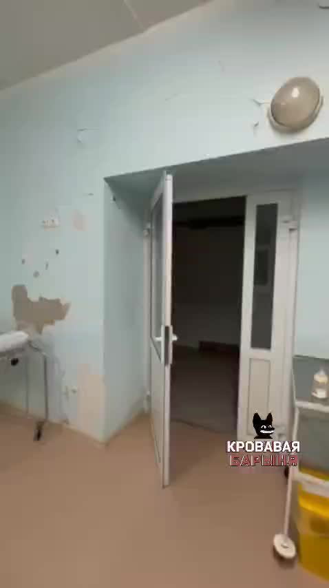 Ремонт медицинских учреждений в Удмуртии и Бурятии: планы и проблемы