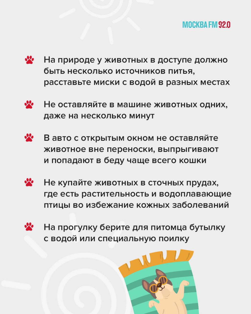Жара измучила и домашних животных Если у питомца произошёл тепловой удар, стоит немедленно обратиться в клинику, говорит ветеринарный врач Татьяна Голенева: Приезжают к ветеринару собаки, потерявшие сознание, с перегревом, с температурой 42°, это состояние может закончиться даже летальным исходом. Если вы видите, что собака перегрелась, ей плохо, она вялая, задыхается, у неё ярко-красные, слизистые, то можно достать из морозилки всё, что там есть и приложить через ткань к подушечкам лап, к голове, даже к животу, то есть обложить собаку чем-то холодным. Отдельное внимание стоит уделить питанию своего питомца, отмечает президент Союза кинологических организаций Владимир Уражевский: Доступ к воде должен быть всегда, тем более сухой корм вытягивает влагу. Корм лучше давать лёгкий, но сбалансированный. Если питомец живёт на улице, например, в будке, ему необходимо создать место в тени. Также в жаркие дни лучше снизить активность, не надевать животному намордник. А мы подготовили памятку, как уберечь любимца от беды в жару. Сохраняйте и делитесь с друзьями!