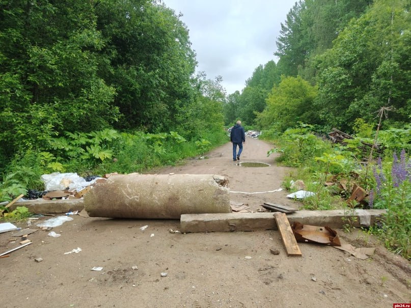 Свалку на подъезде к мусорному полигону в Гдовском районе уберут в течение недели