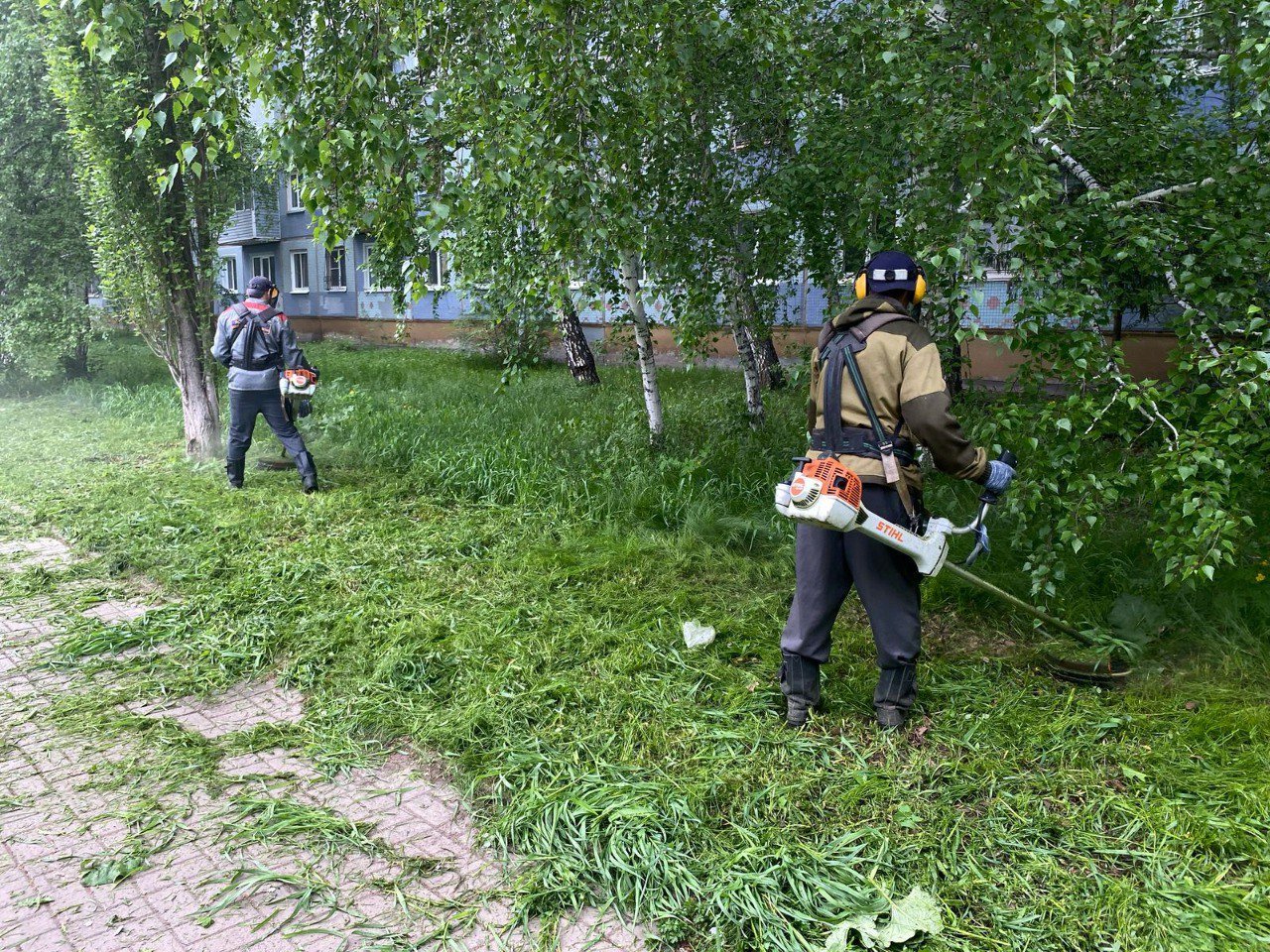 В течение мая планируется провести покос более 275 гектаров городских территорий. На данный момент уже обработано свыше 150 гектаров. Ежедневно службы УДХБ косят траву в скверах, парках, на пешеходных зонах и придорожных пространствах. Сегодня работы осуществляются в парке им 30-летия Победы, на улице 60 лет Победы, в сквере им. Героев-авиаторов, ул. 22 Декабря, а также на пешеходных зонах микрорайонов № 3 и № 5, вдоль улицы Лукашевича и на многих других объектах. Привлекаем и подрядчиков. Сотрудники подрядной организации выкашивают траву на улицах Конева, Серова, Гашека, Богдана Хмельницкого, Панфилова, Красный Путь, Герцена в скверах по Сибирскому проспекту, 30 лет ВЛКСМ и т.д.
