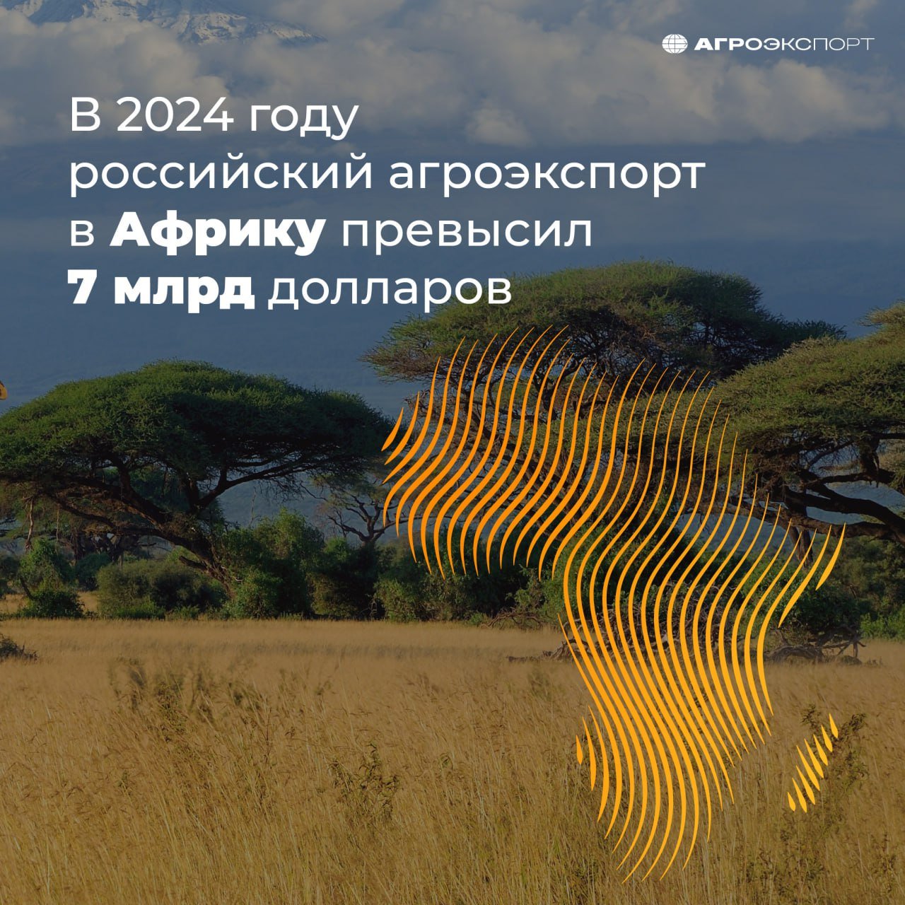 В 2024 году российский агроэкспорт в Африку превысил 7 млрд долларов   По оценкам экспертов, в 2024 году российский экспорт продукции АПК в страны Африки превысил 7 млрд долл., увеличившись на 19% по сравнению с 2023 годом. Отечественные продовольственные товары поставлялись в 45 государств континента.  Позицию крупнейшего покупателя сохраняет Египет. В прошлом году российский экспорт продукции АПК в эту страну вырос на 21% в стоимостном выражении. Египет является одним из лидеров среди импортеров российской пшеницы. Также в Арабскую Республику поставляются подсолнечное и соевое масло, зернобобовые культуры, семена льна, меласса, дрожжи и многие другие товары.    В 2024 году помимо Египта в топ-5 импортеров российского продовольствия в Африке входили:    Алжир  + 1,5% к стоимостному объему закупок ;  Ливия  -18% ;  Кения  +33% ;   Тунис  +28% .  Основой российского аграрного экспорта в Африку являются зерновые культуры – пшеница, ячмень и кукуруза, на которые совокупно пришлось 87% стоимостного объема поставок продовольствия на континент. Кроме того, африканские страны входят в число значимых покупателей масложировой продукции, мяса, рыбы. В 2024 году кратно выросли отгрузки молочной продукции.    Подробнее об экспорте аграрной продукции в Афирику, включая комментарий руководителя направления анализа аграрных рынков «Русагротранса» Игоря Павенского, можно на сайте.  #агроэкспорт #африка