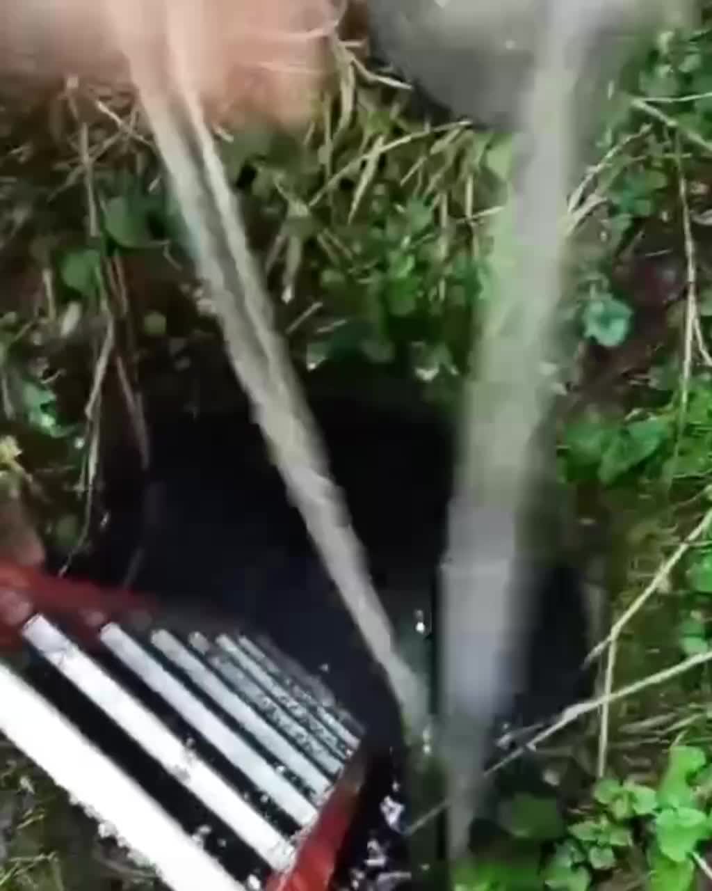 В Одинцово собака повредила оптоволоконный кабель, вызвав отключение интернета и ТВ