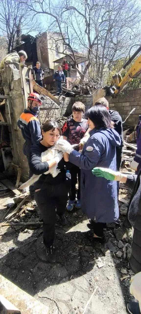 В Туапсе под завалами разрушенного дома нашли живую кошку Спасатели из Туапсинского и Сочинского отрядов Кубань СПАС ведут поисковые работы на месте обрушения частного дома которое произошло после атаки беспилотника в ночь на 16 апреля Во время разбора завалов специалисты обнаружили кошку Животное сразу передали хозяйке пострадавшего дома О состоянии питомца пока не сообщается Всего в работах задействованы 16 спасателей и 4 единицы техники Кубань СПАС а также добровольцы сообщили в Министерстве ГО и ЧС Краснодарского края Мы в ВК Мы в МАХ