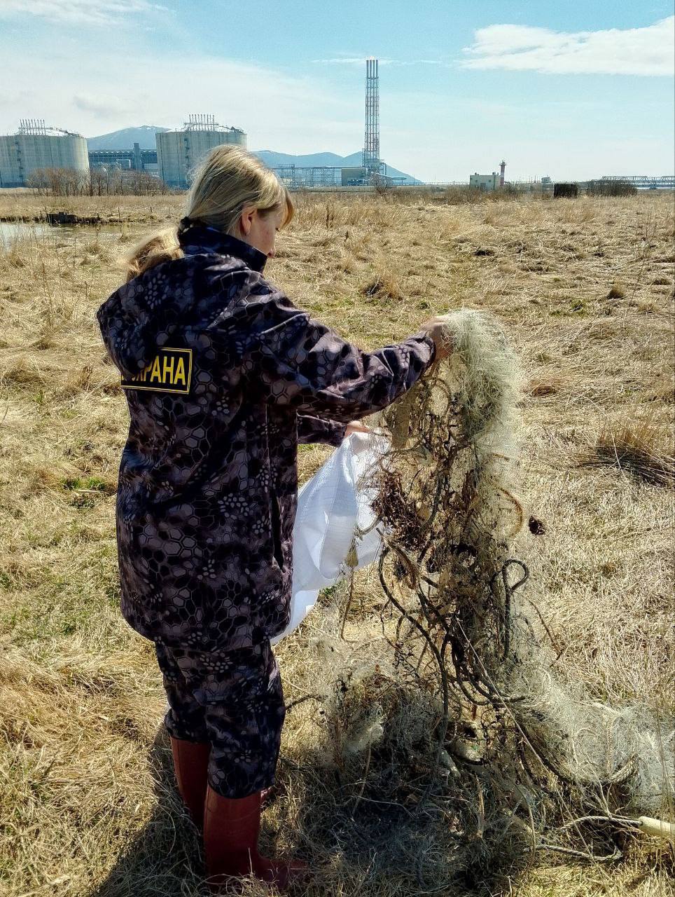 Более 30 незаконных орудий лова забрали у браконьеров на Сахалине за неделю В СКТУ Росрыболовства рассказали об итогах деятельности в островном регионе. Так, с 5 по 11 мая инспекторы 60 раз выезжали на обследование водных объектов и выявили 43 нарушения, а у браконьеров изъяли 31 незаконное орудий лова. На незаконопослушных сахалинцев составили 32 протокола об административных нарушениях, а сумма наложенных штрафов составила 48 000 рублей. Ведомство призывает всех рыбаков не нарушать правила рыболовств. Если вы стали свидетелем нарушения или вам известны факты браконьерства, обратитесь по телефону: + 7 958 -887-38-31 Telegram – круглосуточно; +7 4242 -235-281, с пн.- пт. с 9.00-18.00.