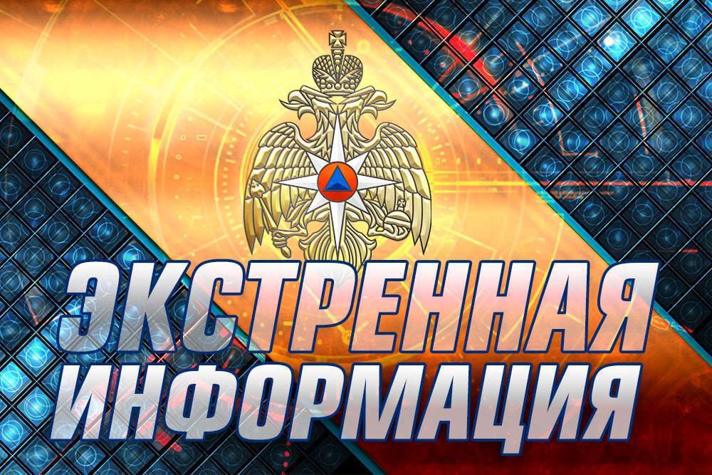 #ОперативкаМЧС26 Прямо сейчас Ставропольские огнеборцы тушат пожар в Левокумском МО Прямо сейчас огнеборцы МЧС Ставрополья ликвидируют пожар в 10 километрах от хутора Первомайский Огнем охвачено 15 Гектаров пшеницы на корню. На месте работают 5 специалистов и 2 единицы техники. МЧС Ставрополья Подпишись ВК ОК Рутуб #МЧССтаврополь #МЧС26