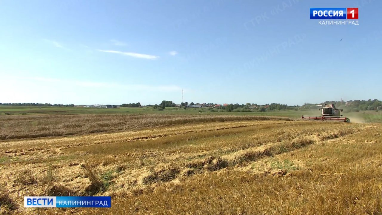 Калининградская область поднялась в рейтинге применения инноваций в агропромышленной отрасли Рост сразу 25 пунктов сейчас регион на 16 м месте Тройка лидеров Республика Татарстан Воронежская и Московская области Подробнее смотрите в нашем материале Вести Калининград в MAX Присоединяйтесь