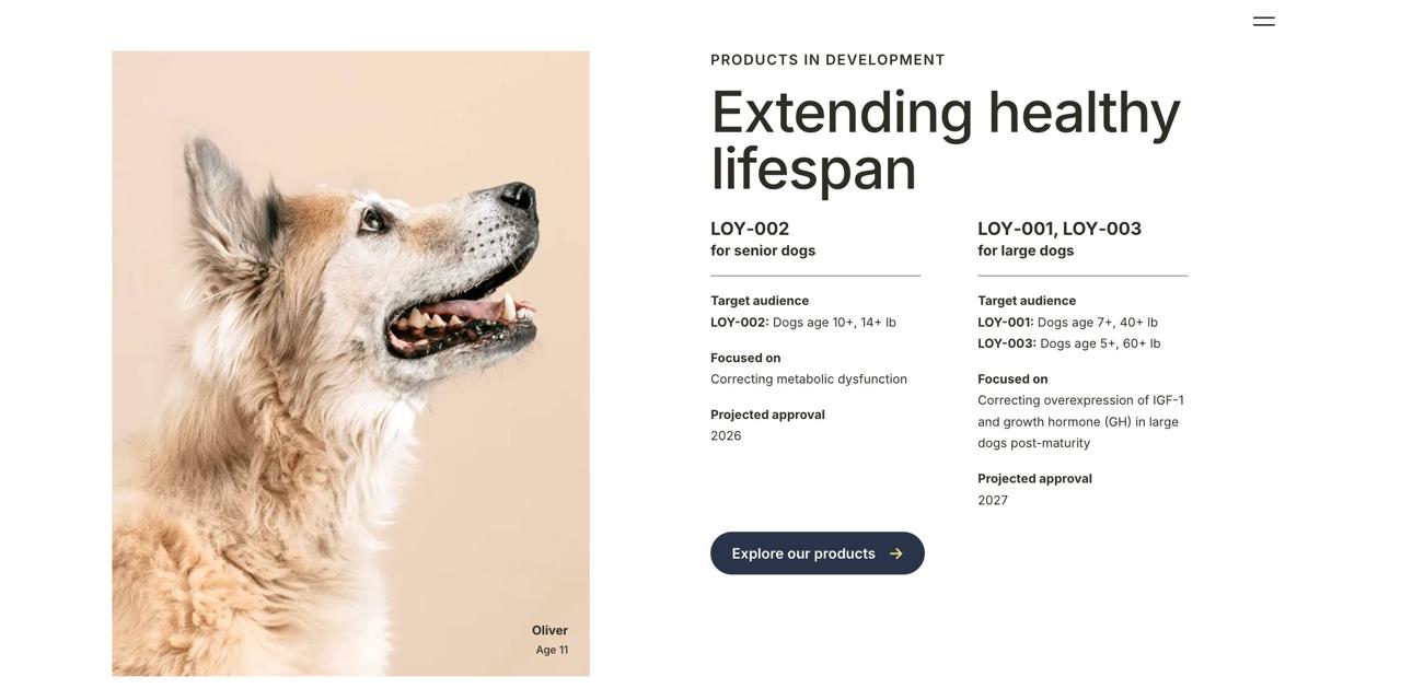 Собакам смогут продлить жизнь компания Loyal готовит лекарство против старения собак которое позволит им жить дольше на 3 года Лекарство одобрено и должно выйти на рынок в 2026 году оно рассчитано для митомцев старше 10 лет Цены обещают сделать доступными от 8 тыс в месяц investingcorp