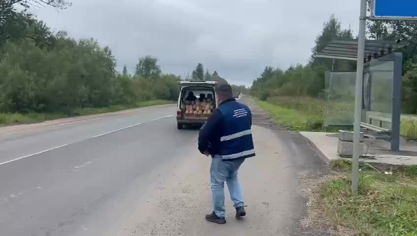 Нелегальный торговец арбузами прокатил инспектора на капоте автомобиля в Петербурге