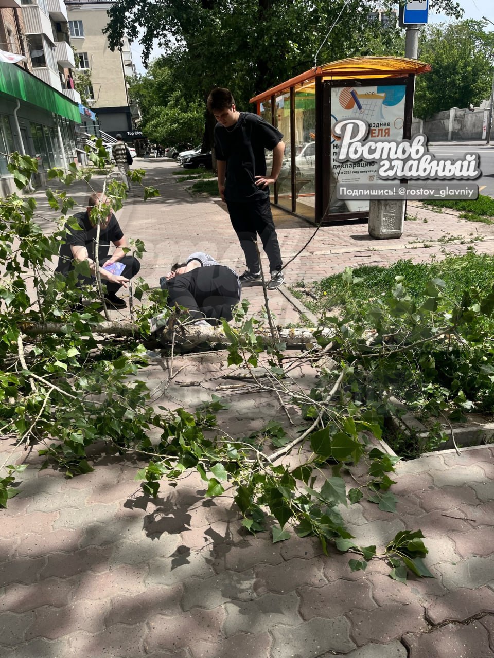 На Текучёва дерево упало на женщину На Текучёва, 141 дерево упало на проходящую мимо женщину, сообщают очевидцы в соцсетях. Предположительно, у пострадавшей перелом ноги. Прохожие вызвали скорую, женщине оказывают помощь. #новости #ростов #чп