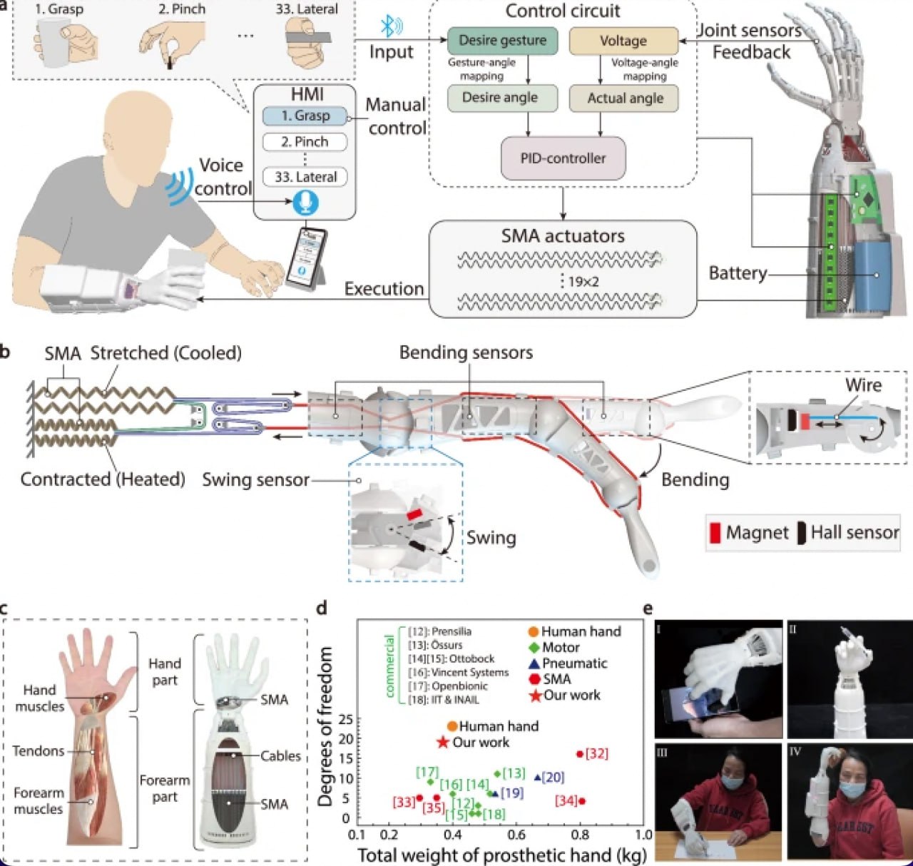 Китайские учёные представили инновационный протез руки  Расчесывать волосы, писать, передвигать шахматные фигуры, управлять смартфоном и выполнять сложные движения языка жестов — на все это способен биомиметический протез руки, созданный инженерами из КНР. Он обладает 19-ю степенями свободы, тогда как обычные устройства такого типа — максимум 10-ю. К тому же новый протез легкий — 370 г, при том что его «коллеги» обычно весят более 400 г.  Всего новинка способна работать в 33-х режимах захвата предметов. В том числе с помощью такого протеза можно даже пользоваться ножницами.   Чтобы добиться такого результата, китайские ученые использовали сплавы с эффектом памяти формы, которые «помнят» свою первоначальную форму и возвращаются к ней при изменении температуры. Они работают как искусственные мышцы, а система передачи имитирует действия сухожилий.  Протезом можно управлять с помощью голоса.  Система поддерживает 60 языков и 20 диалектов, распознает команды с точностью 95%, при этом время отклика достигает уровня миллисекунд.    Китайская Панорама