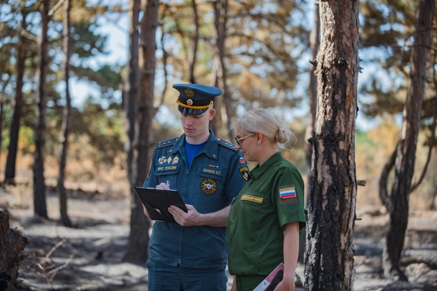 В Севастополе продолжаются меры по предупреждению лесных пожаров За прошедшую неделю в регионе было зафиксировано более 40 случаев возгорания, причиной которых, как правило, было неосторожное обращение с огнём. Чтобы снизить вероятность возникновения опасных ситуаций и обнаружить нарушителей, специалисты из Севприроднадзора и МЧС России регулярно проводят профилактические проверки в потенциально опасных местах, сообщили в Правительстве Севастополя. Вести Севастополь