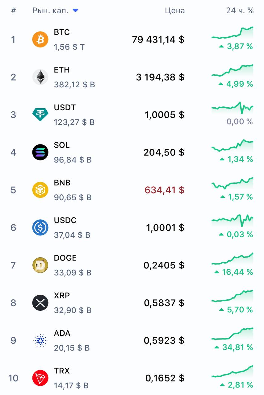 Вся крипта ЛЕТИТ В КОСМОС — биткоин мощно бустит рынок:  • ETH пробил $3200 — за неделю криптосеребро взлетело на 30%. • Мемкоин DOGE взлетел на безумные 60%. • ADA — на 76%. • Ton — на 14%.    Бэкдор