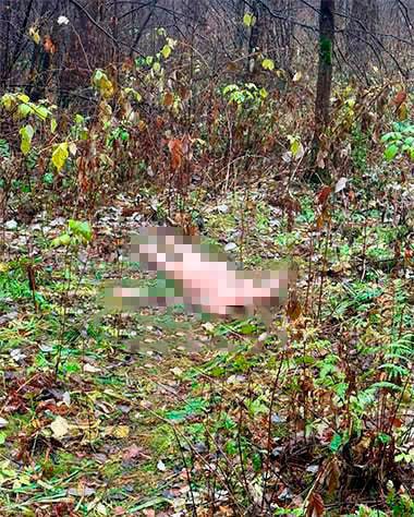 Голый труп без головы нашли в Екатеринбурге По данным СМИ страшную находку сделал местный житель во время утренней пробежки Тело пролежало в лесу около полугода на нем есть следы насильственной смерти сообщили в СК На одном из пальцев специалисты обнаружили кольцо А вот голова женщины до сих пор не найдена Сейчас место ЧП оцеплено   Подпишитесь на Абзац TG VK Дзен MAX Rutube