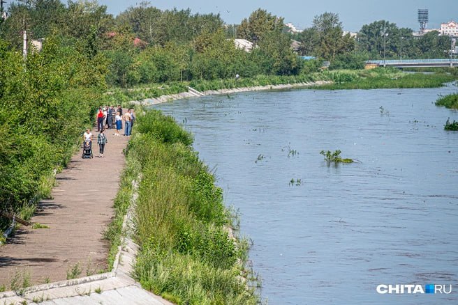 Прокуратура Приморского края поставила на контроль расследование уголовного дела после обнаружения тела новорожденного мальчика в реке Астраханка в Ханкайском районе. По предварительным данным, трагедия произошла в ночь на 7 июня 2025 года. В ходе доследственной проверки возбуждено уголовное дело по пункту «в» части 2 статьи 105 УК РФ убийство малолетнего . Законность его возбуждения признана надзорным ведомством. В настоящее время проводятся оперативно-разыскные мероприятия и следственные действия, направленные на установление всех обстоятельств случившегося. Кроме того, прокуратура инициировала проверку работы органов системы профилактики, ответственных за защиту прав и благополучие детей в семьях. Подписаться