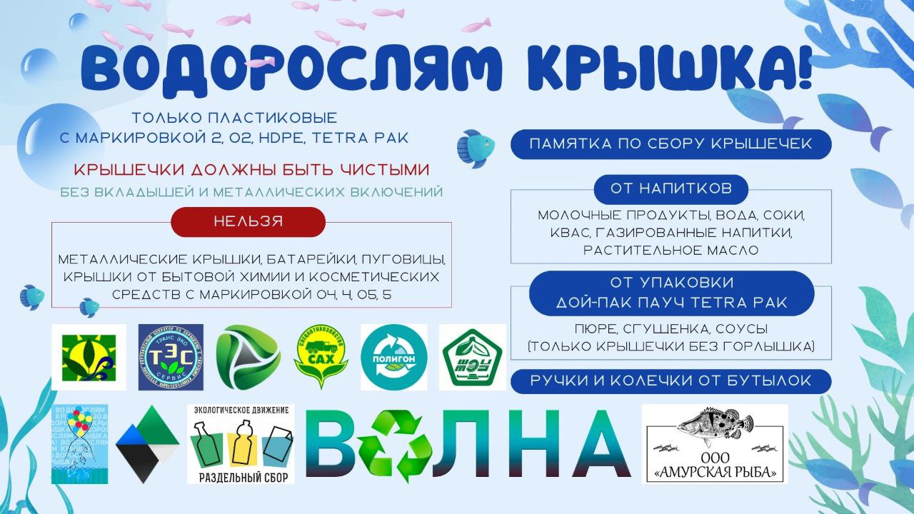 Государственное бюджетное учреждение «Экология» объявило старт регионального проекта «Водорослям крышка», принять участие можете и вы!     Собранные пластиковые крышечки будут направлены на вторичную переработку, а на вырученные средства будут закуплены и выпущены мальки сазанов, которые активно поедают водоросли, очищая водоëмы.    ‍ ‍ ‍  В проекте может принять участие любой желающий, не зависимо от возраста и пола, главное – желание сделать доброе дело на благо окружающей среды.     Заявки на участие принимаются до 16 февраля 2025 года, для этого нужно пройти по активной ссылке.    Для тех, кто не успеет аодаь заявку, но хочет принять участие, может принести крышечки в учреждение, по адресу: ул. Первомайская, д. 25/1.