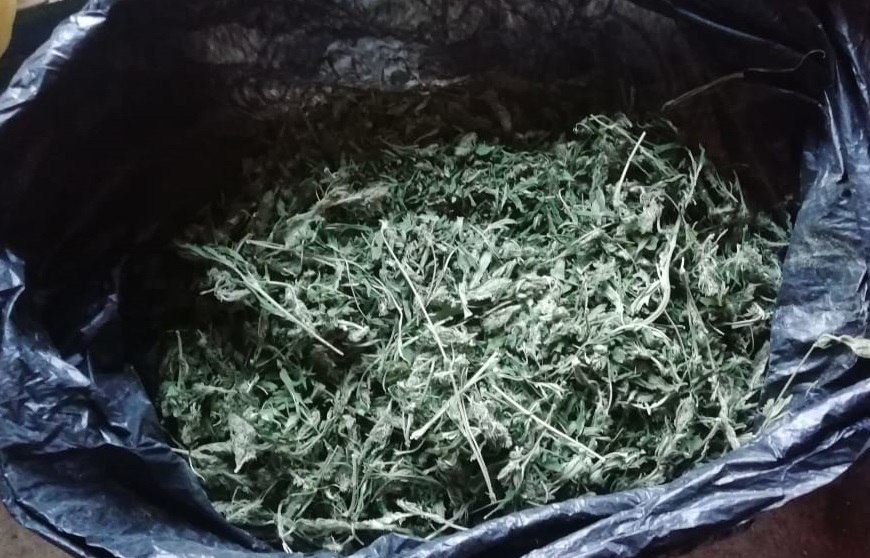 В Кош-Агачском районе завершено расследование уголовного дела в отношении 38-летнего жителя, обвиняемого в незаконном приобретении и хранении крупной наркотиков. Установлено, что в августе 2024 года мужчина специально отправился в Онгудайский район для сбора конопли, которую затем высушил и спрятал у себя дома для личного употребления. В апреле 2025 года при обыске полицейские обнаружили и изъяли пакет с высушенной марихуаной общей массой 510 граммов. Мужчина признал свою вину, заявив, что собирал наркотик исключительно для себя. Уголовное дело направлено в суд.