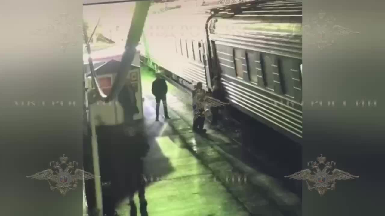Задержание мужчины с ножом после захвата заложницы в поезде