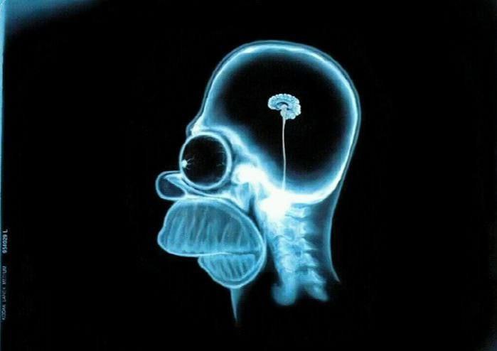 Каждый пятый россиянин считает что Солнце вращается вокруг Земли Согласно опросу проведенному Институтом психологии РАН около 20 респондентов уверены что Солнце вращается вокруг Земли а 16 не сомневаются что люди и динозавры жили в одно время В опросах которые проводились Институтом психологии РАН ВШЭ и ВЦИОМ на вопрос кого из ныне живущих российских ученых мирового уровня вы можете назвать ответили примерно 7 9 респондентов Аналогичная картина с попыткой назвать какие либо важнейшие достижения мировой науки за последние десять лет Около 39 верят в существование ведьм и колдунов а 34 в то что экстрасенсы могут предсказывать будущее