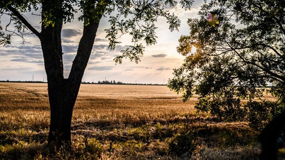 Сальдо обозначил четыре ключевые отрасли для инвестирования в Херсонской области Херсонская область обладает широким потенциалом для инвестирования но администрация региона выделяет четыре ключевых направления Об этом Херсонскому агентству новостей заявил глава региона Владимир Сальдо Есть четыре опорных направления промышленность сельское хозяйство логистика и туризм Промышленность это стройматериалы переработка сельхозпродукции в перспективе выпуск техники и оборудования Восстановление и модернизация предприятий уже дает рабочие места и налоговую базу обозначил он приоритет Губернатор подчеркнул что сельское хозяйство традиционно относится к сильной стороне Херсонской области Регион может прокормить не только себя но и поставлять продукцию в другие субъекты России Сухопутная логистика наш козырь Херсонщина является сухопутным мостом в Крым через нас сейчас на полуостров идет основной поток товаров и значительная часть пассажиропотока Порты перспективный транспортный резерв Геническ и Скадовск связывают Приднепровье Азов Черноморское побережье и Крым После обеспечения безопасности и модернизации портовой инфраструктуры их логистический потенциал станет одним из ключевых продолжил Сальдо Туризм глава региона определил как долгосрочную историю Черноморское побережье Арабатская Стрелка лечебные ресурсы климат всё это позволяет развивать рекреацию санаторный и спортивный отдых уточнил он По словам Сальдо инвестиционный климат области постепенно улучшается работает режим особых экономических условий есть региональный закон об инвестиционной политике инструмент свободной таможенной зоны единое окно для инвестора Проведен Таврический инвестиционно экономический форум эффект которого рассчитываем увидеть уже в первой половине следующего года заключил он
