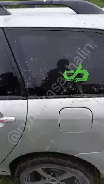 На Сахалине медведь потревожил рыбаков, расшатывая их автомобиль