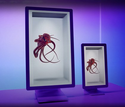 Компания Looking Glass показала работу своих гололюминесцентных дисплеев с объемным изображением Компания Looking Glass сняла завесу тайны со своих гололюминесцентных дисплеев Hololuminescent Display HLD По словам разработчиков такие устройства способны передавать захватывающую трехмерную картинку без сложностей присущих традиционным 3D технологиям