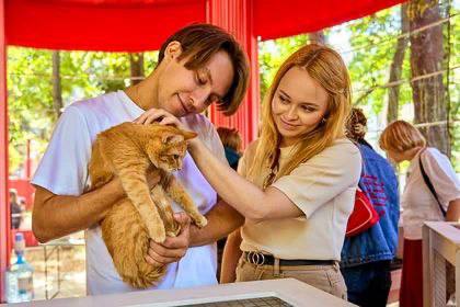 Десятки собак и кошек нашли хозяев благодаря сервису Моспитомец ежедневно анкеты животных из столичных приютов набирают тысячи просмотров пользователи планируют поездки в приюты и дарят новый дом их обитателям В нашем приюте содержится порядка 250 кошек и более 300 собак Животные в основном попадают с уличного отлова после смерти своих владельцев иногда их подбрасывают Мы их стерилизуем вакцинируем чипируем при необходимости лечим и отдаем в хорошие руки Люди узнают о нас от волонтеров на выставках пристройствах по сарафанному радио а в последнее время благодаря сервису Моспитомец Присмотрев понравившееся животное будущему владельцу нужно оставить свои контакты записаться на первое знакомство затем заполнить анкету подписать договор и можно забрать пушистика домой сообщила сотрудница приюта Зоорассвет Алина Блохина Система фильтров действующая на портале и специальный тест позволяют быстро подобрать желаемые варианты с помощью формы обратной связи легко запланировать визит в приют а рекомендации от зоопсихологов и ветеринаров расскажут как нужно ухаживать за питомцем правильно кормить и наладить хороший контакт