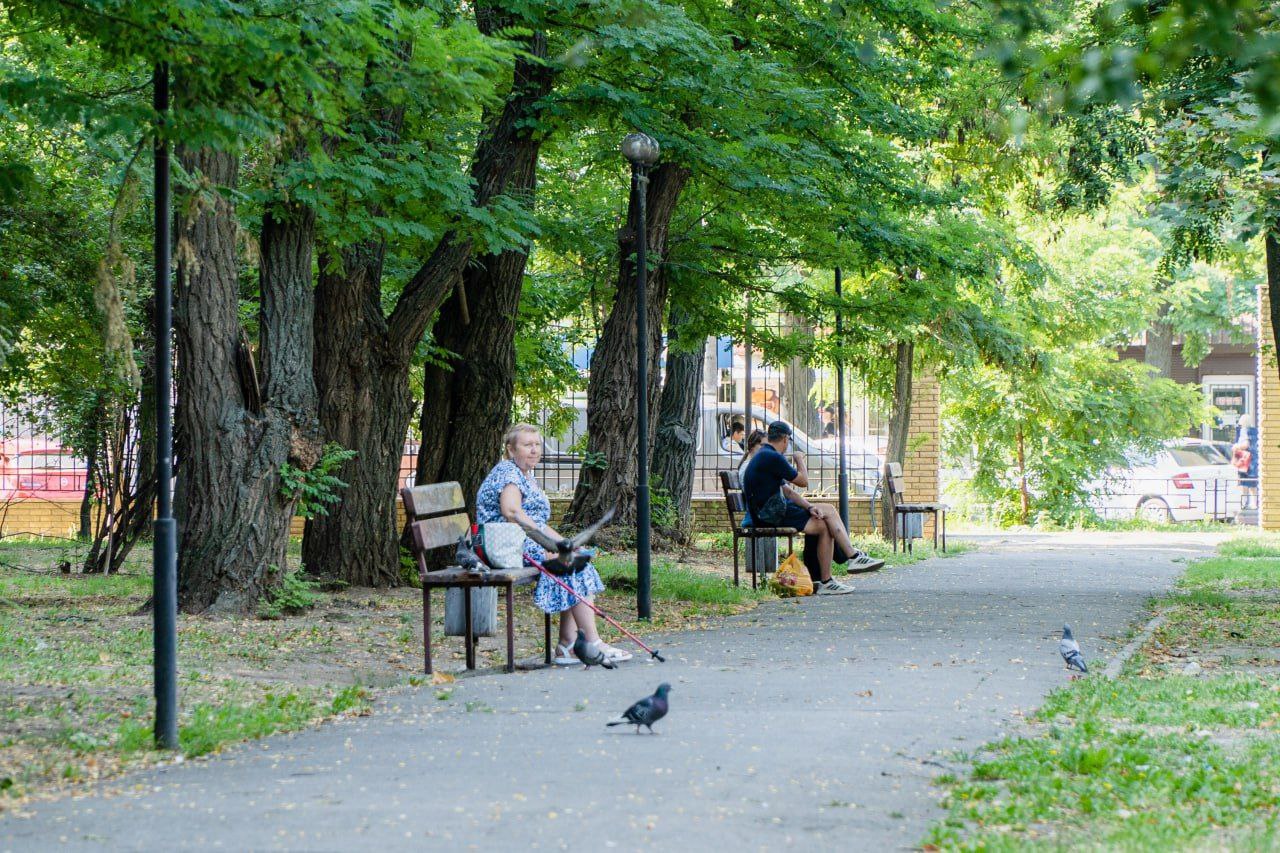 Глава Мелитопольского городского округа Сергей Золотарёв проверил ход благоустройства городских скверов и парков.      В сквере у кинотеатра «Победа» покрашены лавочки и урны, отремонтирована детская площадка.      В сквере на ул. Ломоносова  район МФЦ  планируется покраска, ремонт площадки и установка новых качелей, урн и лавочек. Работы под личным контролем главы.      В парке участников СВО работы идут по графику.