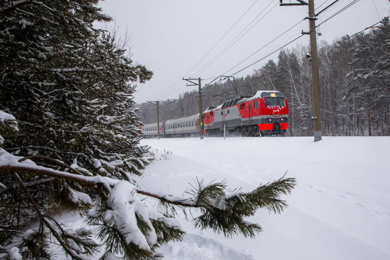 По сети РЖД отправилось более 1 3 млрд пассажиров в 2025 году В прошлом году с вокзалов и станций железных дорог отправилось 1 млрд 310 2 млн человек 1 9 к 2024 году Из них в дальнем следовании 126 7 млн 0 6 в пригородном сообщении 1 млрд 183 5 млн 2 2 В декабре поездки совершили 106 2 млн пассажиров 1 2 Из них в дальнем следовании 9 млн 4 в пригородном сообщении 97 2 млн 1 7 Подписаться на Телеграмму РЖД Голосовать за канал Подписаться на РЖД в MAX Каналы железных дорог
