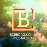 Аватар Телеграм канала: Медиацентр В1