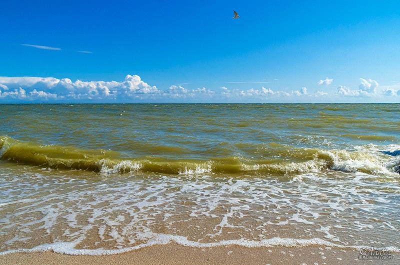 Глэмпинг водный активный и детский отдых Новоазовский округ готовится к масштабному развитию туризма Новоазовский муниципальный округ станет основой для создания крупного туристического кластера Разработанный план утвержден Минстроем ДНР Проект предполагает создание на побережье крупной туристической инфраструктуры  В поселке Седово появится современный глэмпинг с комфортабельными модульными домами и инфраструктурой для водных видов спорта и детского отдыха  На территории округа создадут комплексные маршруты которые будут сочетать в себе элементы природно экологического и культурно познавательного туризма  Остановиться путешественники смогут в туристическом комплексе вблизи села Широкино в состав которого войдут гостиницы и апарт отели виллы кемпинги а также благоустроенная общественная зона для проведения мероприятий  Между селами Широкино и Безыменное генпланом предусмотрено создание торгово развлекательного комплекса торговых рядов для сезонных ярмарок и авторской винодельни с гостевым комплексом  Для любителей активного отдыха из села Самсоново планируется проложить экотропы и велосипедные маршруты  Проект планируется завершить к 2035 году Ожидается что это увеличит туристический поток до 52 тысяч человек в год ВАРМСУ СМО ДНР Подписывайтесь ВАРМСУ СМО ДНР Подписывайтесь