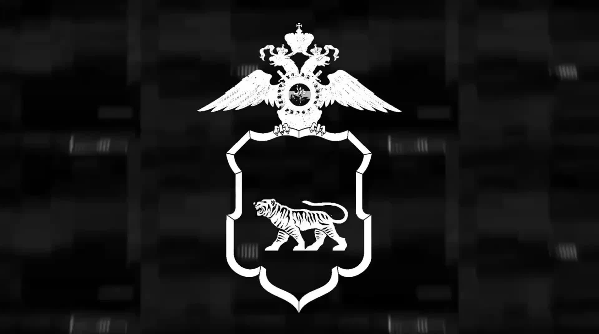 Владивосток и Калга: полицейские задержали подозреваемых в кражах