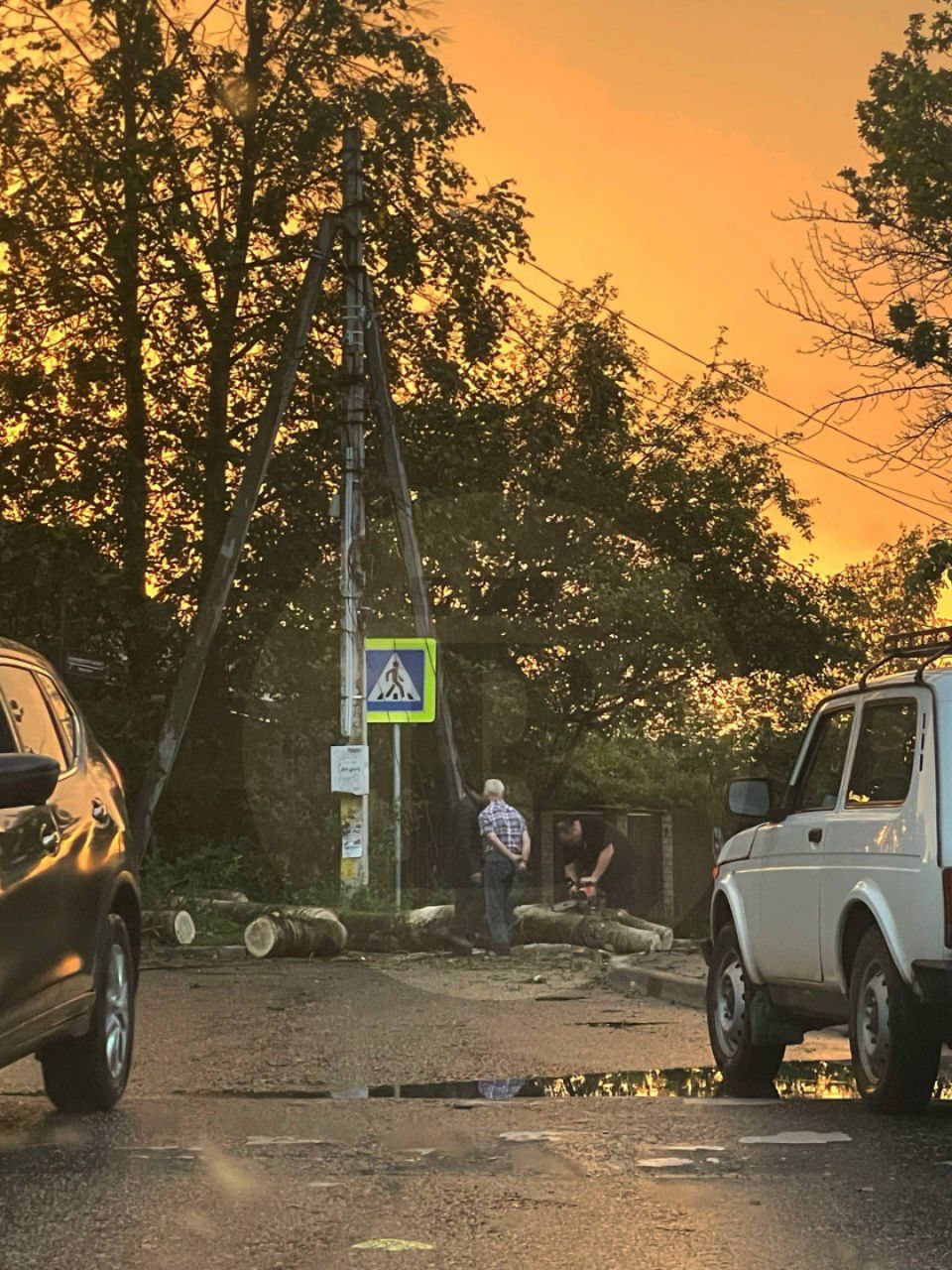 В районе улицы Северная в Сергиевом Посаде во время грозы и сильного ветра упало дерево, которое порвало электропровода. Сейчас его распиливают, освобождая дорогу. Об этом сообщают читатели .