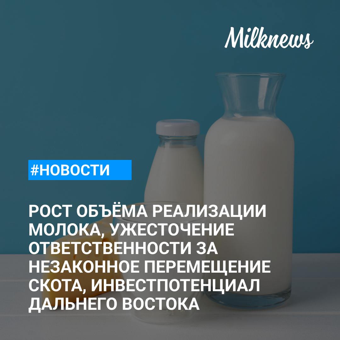 Объём реализации молока в сельхозорганизациях вырос на 3,4%    Министр ЕЭК: дефицита продовольственной безопасности на рынке ЕАЭС нет    Тульский «Агрофармтрест» планирует к 2025 году ввести обновленный молочный комплекс за 1 млрд руб.    Кабмин призвал ужесточить ответственность за незаконное перемещение скота    РСХБ: инвестпотенциал агросектора Дальнего Востока достигает 112 млрд руб.