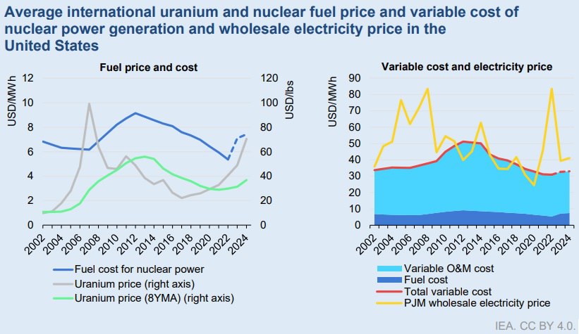 Вероятность того, что мировой рынок дефицитного урана будет балансироваться за счет АЭС США, высока. В США  работает около 100 реакторов общей установленной мощностью более 100 ГВт. Станции старые и проблемные. Большинство из них построено в 60-70-х годах прошлого века. То есть АЭС требуют постоянных затрат на обслуживание: у 50-летнего сложного технического сооружения обязательно будет что-то ржаветь, отваливаться, ломаться, протекать.  Сланцевая революция в США привела к масштабной стройке нескольких десятков ГВт газовых ТЭС в последнее десятилетие, в основном на парогазовом цикле с высочайшим КПД. Это резко снизило цены на электроэнергию, а значит, доходы отрасли.   Кроме того, АЭС — крайне трудозатратная штука. На примере российской энергетики: 1 МВт АЭС требует 1-2 человека, 1 МВт ТЭС — 0,3 человека, а 1 МВт ГЭС — 0,01 человека. В США аналогичная структура занятости. Но кратно выше стоимость труда. Это выливается в высокие эксплуатационные затраты для атомной энергетики, которые "не вписываются в рынок".