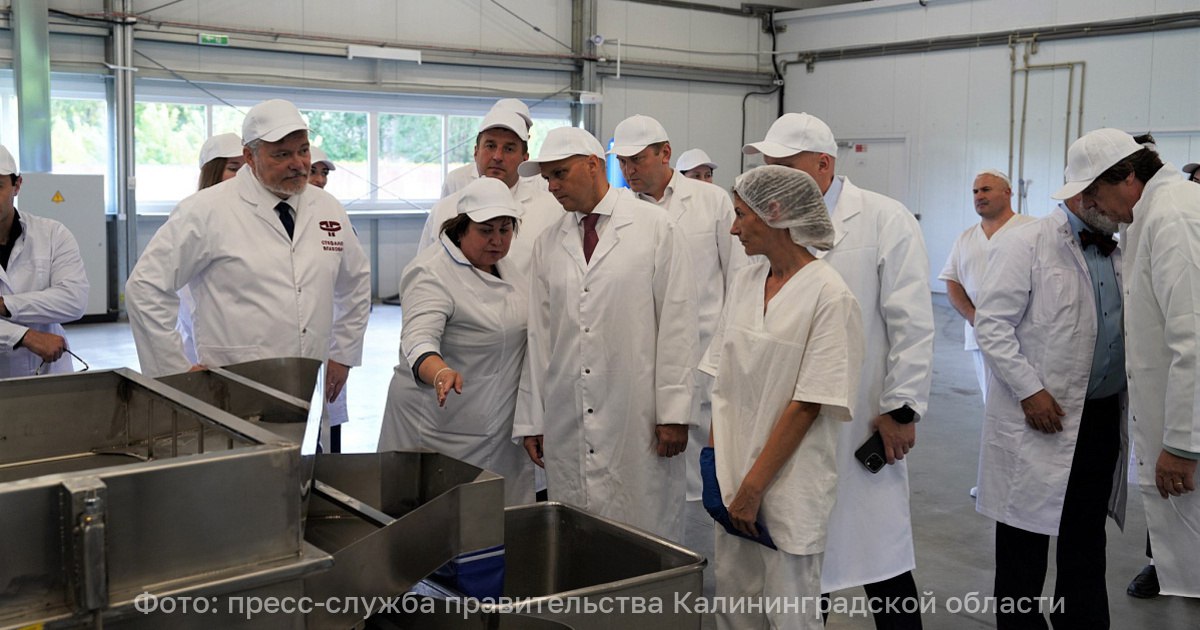 В Гусеве открылся новый завод панировочных сухарей В Гусеве был открыт завод по производству панировочных сухарей В торжественной церемонии ввода предприятия в эксплуатацию которая состоялась в пятницу 19 сентября принял участие губернатор Алексей Беспрозванных Объём инвестиций составил 250 млн рублей Мощность завода 750 тонн в месяц В нынешних условиях этот проект особенно важен для нашей экономики Создание такого масштабного производственного комплекса направлено на решение важных стратегических задач обеспечения продовольственной безопасности и устойчивости региональных цепочек поставок продуктов питания Завод станет важным звеном региональной экономики снижающим риски перебоев с поставками ингредиентов и способствующим развитию промышленности и сельского хозяйства Калининградской области отметил Алексей Беспрозванных