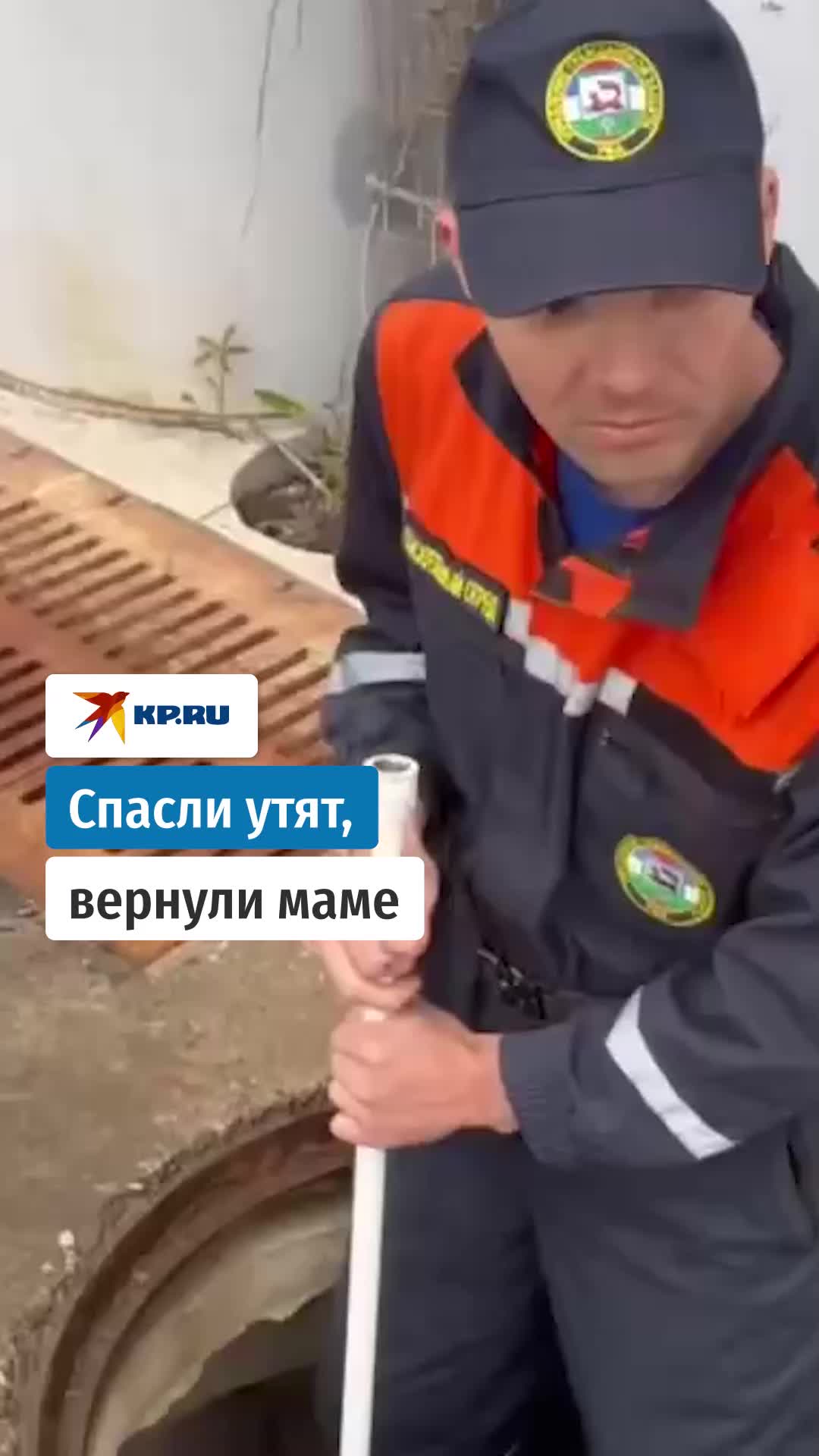 Спасатели Уфы вернули утят маме после сложной операции