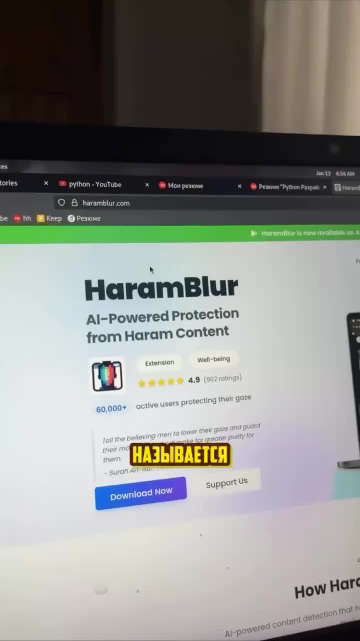 Найдено расширение для браузера HaramBlur, защищающее от нежелательного контента