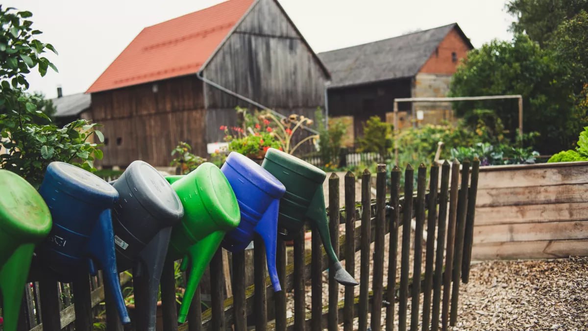 Правительство готовит изменения в закон о садовых участках Поправки которые планируется внести в этом году направлены на упрощение механизма оформления прав на общее имущество СНТ Об этом говорится в плане законопроектной деятельности правительства на 2026 год Как следует из документа инициатива предусматривает уточнение порядка возникновения общей долевой собственности на имущество общего пользования СНТ с учётом норм Гражданского кодекса а также требований к земельным участкам входящим в границы территории садоводства Подписаться на Говорит Москва Telegram VK MAX