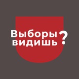 Аватар Телеграм канала: Выборы видишь? | Зеркало Политика