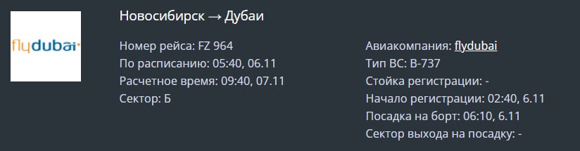 Более чем на сутки задержан рейс Flydubai из Новосибирска в Дубай.   Вылет должен был состояться сегодня в 05:40, но теперь назначен на 09:40 7 ноября.   В пресс-службе аэропорта Толмачево уточнили, что причина задержки в технической неисправности самолета.