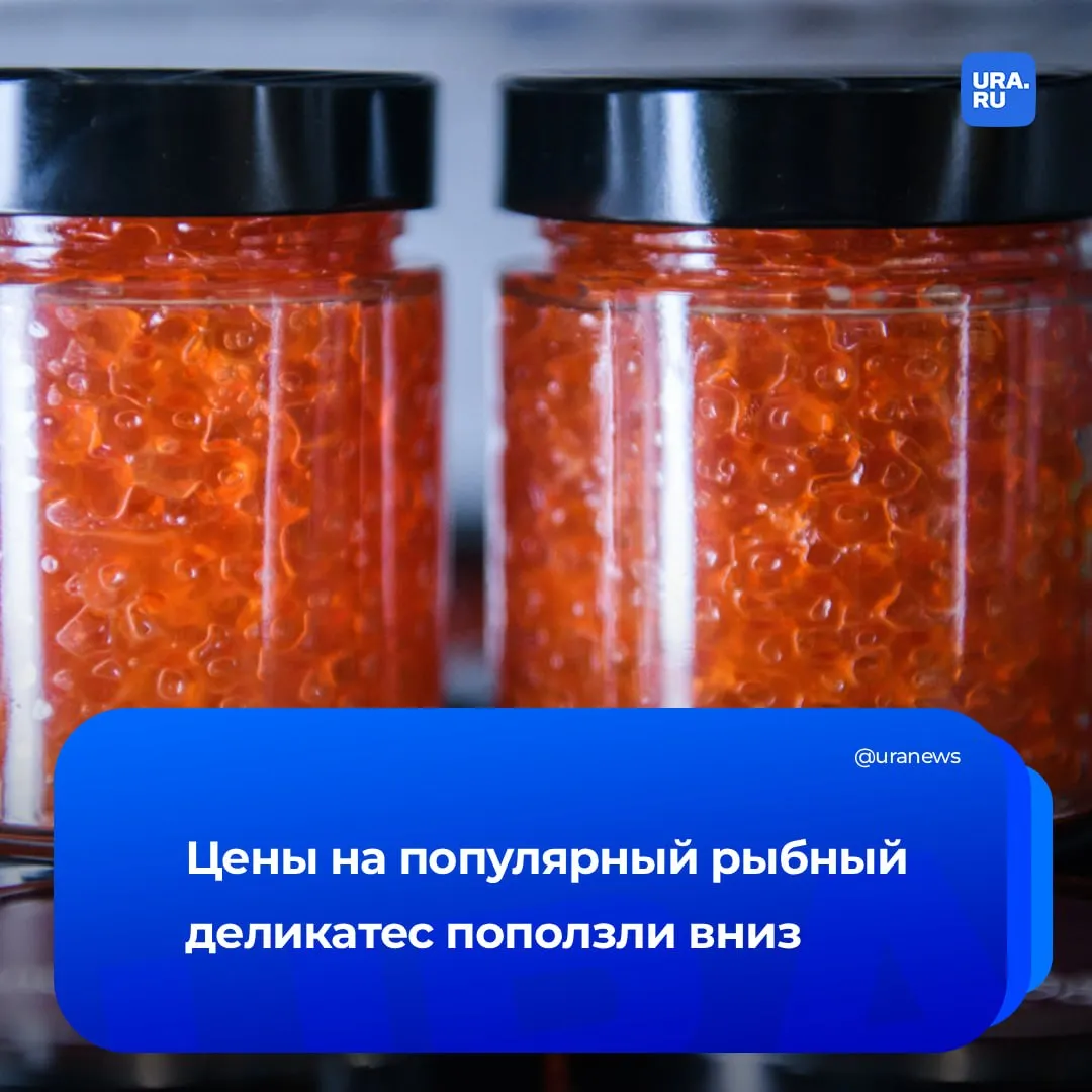 Красная икра дешевеет С начала года цены в зависимости от вида снизились на 14 22 заявили в центре Рыбного союза Минимальная стоимость баночки весом 75 граммов начинается от 435 рублей за 95 гр от 550 рублей Это подтверждают и данные Ассоциации компаний омниканальной розничной торговли председатель которой отметил что удачная путина 2025 года обеспечила рост производства икры на 21 Руководитель Информационного агентства по рыболовству Савельев подчеркнул нынешнее снижение стоимости связано с тем что срок реализации икры подходит к концу По словам эксперта новая партия продукции прибудет через несколько месяцев поэтому старые партии уже ничего не будут стоить Подорожает ли красная икра снова Подробнее об этом в материале на сайте Подписаться на URA RU мы в MAX