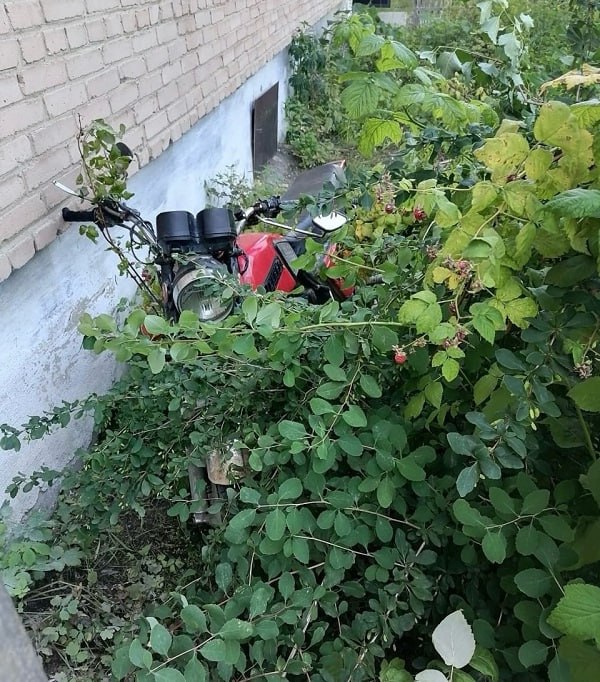 Полицейские Карабаша раскрыли кражу мотоцикла и вернули его законному владельцу  С заявлением о краже транспортного средства с территории частного дома в дежурную часть полиции Карабаша обратился местный житель.  Сумма причинённого ущерба составила более 20 тысяч рублей.  Сотрудники полиции организовали комплекс оперативно-розыскных мероприятий, направленных на установление личности подозреваемого и его местонахождения. В результате по подозрению в совершении данного преступления оперативниками был задержан 30-летний местный житель.   Установлено, что накануне потерпевший и подозреваемый вместе распивали спиртные напитки. После того, как хозяин дома уснул, у злоумышленника возник преступный план по похищению мотоцикла с целью его дальнейшей продажи.   Транспортное средство злоумышленник успел сбыть за 4 тысячи рублей, но в дальнейшем был задержан полицейскими.  В настоящее время возбуждено уголовное дело по признакам преступления, предусмотренного частью 2 статьи 158 УК РФ  Кража . Мотоцикл возвращён законному владельцу.     #мвд74 #полиция74 #полицияюжногоурала #челябинскаяобласть #Карабаш #ОУР