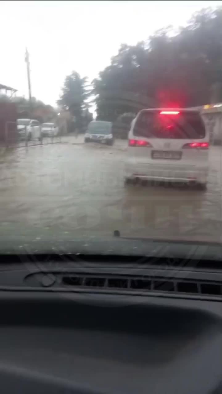 Сильный дождь в Сочи вызывает подтопления и падение деревьев