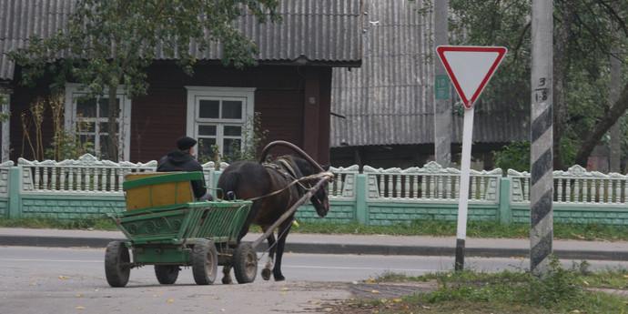 «Телегу перевернул конь»: женщина утонула в водоеме глубиной полтора метра  Трагедия случилась в Бешенковичском районе Витебской области. Вчера днем в водоеме была обнаружена 53-летняя женщина. По предварительной информации, она возвращалась домой в запряженной телеге, которую позже перевернула лошадь.  Известно, что днем ранее в милицию обратился племянник погибшей. Он рассказал, что женщина уехала на гужевой повозке от сестры, живущей в соседней деревне. Расстояние, которое ей предстояло преодолеть, составляло всего 3 километра. Когда домой родственница так и не вернулась, мужчина обратился с заявлением о пропаже.  В результате поисковых мероприятий утонувшую женщину обнаружили в трех метрах от берега водоема-копани. Его глубина, сообщает ОСВОД, составляла 1,5 метра. Предполагается, что телегу перевернул конь, который позже самостоятельно вернулся в деревню.