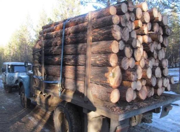 В Екатеринбурге вынесен приговор по уголовному делу о незаконной рубке леса и обороте незаконно заготовленной древесины с причинением ущерба на сумму свыше 34 9 млнрублей Чкаловский районный суд г Екатеринбурга на основании доказательств представленных государственным обвинителем вынес приговор по уголовному делу в отношении двоих жителей региона Дмитрия Клименко и Уткира Хайдарова Они признаны виновными в совершении преступлений по ч 3 ст 260 УК РФ незаконная рубка лесных насаждений ч 3 ст 191 1 УК РФ перевозка хранение переработка в целях сбыта сбыт заведомо незаконно заготовленной древесины В ходе рассмотрения в суде уголовного дела установлено что в мае 2019 года осужденные а также двое неустановленных лиц материалы в отношении которых выделены в отдельное производство организовали незаконную рубку леса на территории бывшего участкового лесничества в Чкаловском районе г Екатеринбурга Прикрываясь деятельностью лесозаготовительной организации директором которой являлся Хайдаров участники преступной группы смешивали в целях конспирации незаконно добытую древесину с легальной на вырубку которой у организации имелись необходимые разрешения  В результате их незаконных действий в период с мая 2019 года по февраль 2023 года государству причинен ущерб на сумму свыше 34 9 млн рублей   Чкаловский районный суд г Екатеринбурга назначил Дмитрию Клименко наказание в виде 6 лет лишения свободы а Уткиру Хайдарову в виде 7 лет лишения свободы Оба будут отбывать наказание в исправительной колонии общего режима Кроме того суд назначил осужденным дополнительное наказание в виде лишения права заниматься деятельностью связанной с заготовкой перевозкой и реализацией древесины на срок 3 года каждому Помимо этого суд удовлетворил иск прокурора взыскав с мужчин солидарно в пользу Территориального управления Федерального агентства по управлению государственным имуществом в Свердловской области в счет возмещения причиненного ущерба свыше 34 9 млн рублей Также суд конфисковал у осужденных в доход государства транспортные средства УРАЛ УАЗ SMO7 05 прицеп бензопилы