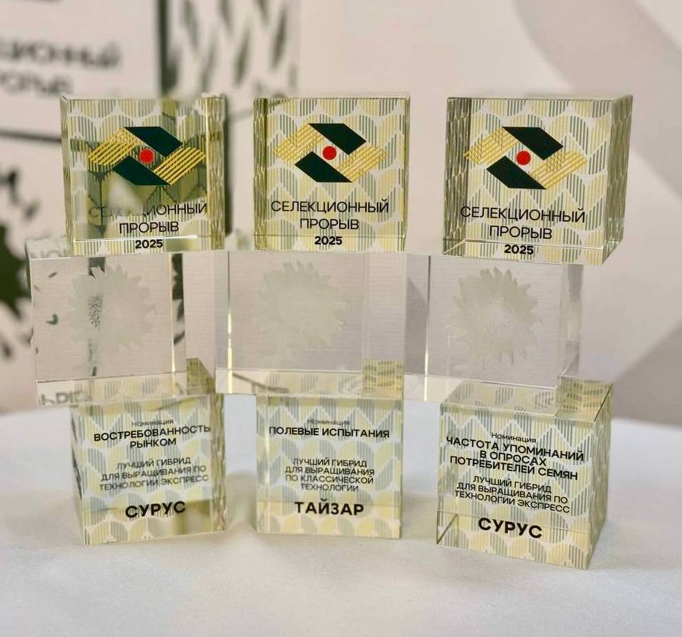 Победителей первой премии Селекционный прорыв назвали в Казани на форуме Русское поле 2025 Лучшими гибридами подсолнечника в зависимости от технологии выращивания стали Технология Экспресс Карина Актив Агро Щёлково Агрохим Технология Clearfield Кречет Актив Агро Щёлково Агрохим Clearfield Plus Светлана КЛП Агроплазма Классическая технология Тайзар селекция ФГБНУ ВНИИМК производитель RUSEED Полный список победителей в других номинациях Востребованность рынком Частота упоминаний в опросах аграриев и Выбор профессионалов смотрите в журнале Поле РФ русскоеполе2025 pole journal