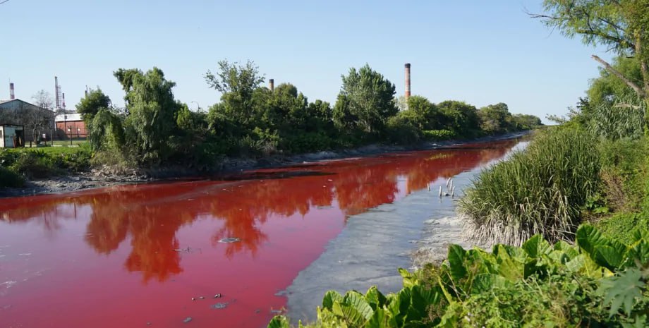 Канал в Аргентине окрасился в кроваво-красный: яркий цвет воды встревожил ученых  В четверг, 6 февраля, канал в пригороде столицы Аргентины Буэнос-Айреса стал кроваво-красным, встревожив местных жителей и власти, а также ученых.   На фото и видео с места происшествия видно, как вода интенсивного цвета впадает в устье реки Рио-де-ла-Плата, которая граничит с экологическим заповедником.  Подробнее читайте в нашей рубрике Фокус. Наука.